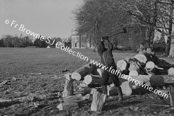 REV W PRENDERGAST S.J. CHOPPING WOOD